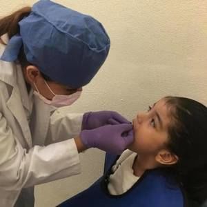 Meet your Posher, Anne